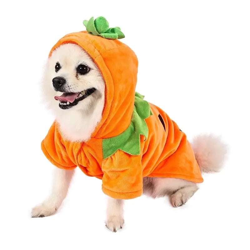 Dog Pumpkin Halloween Costume