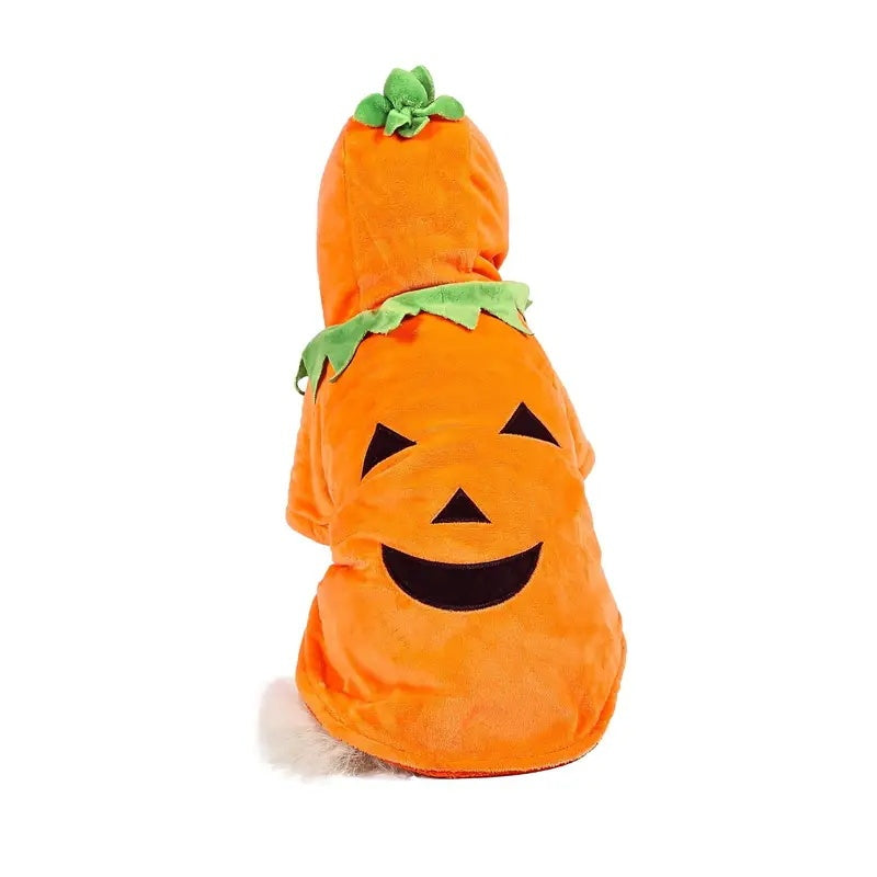 Dog Pumpkin Halloween Costume