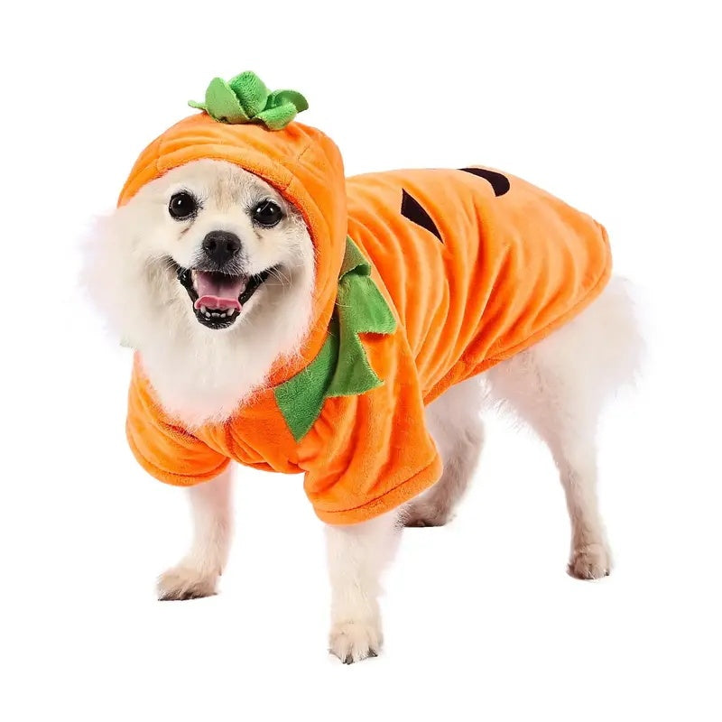 Dog Pumpkin Halloween Costume