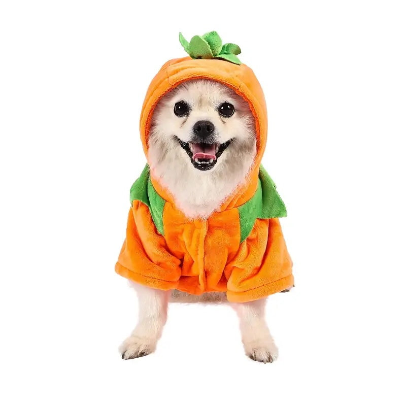 Dog Pumpkin Halloween Costume