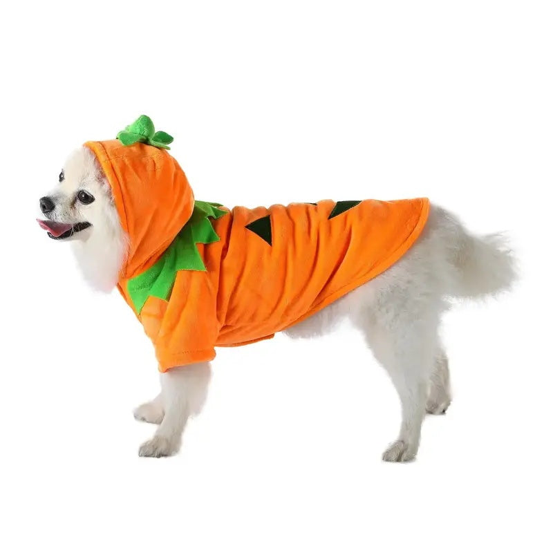 Dog Pumpkin Halloween Costume