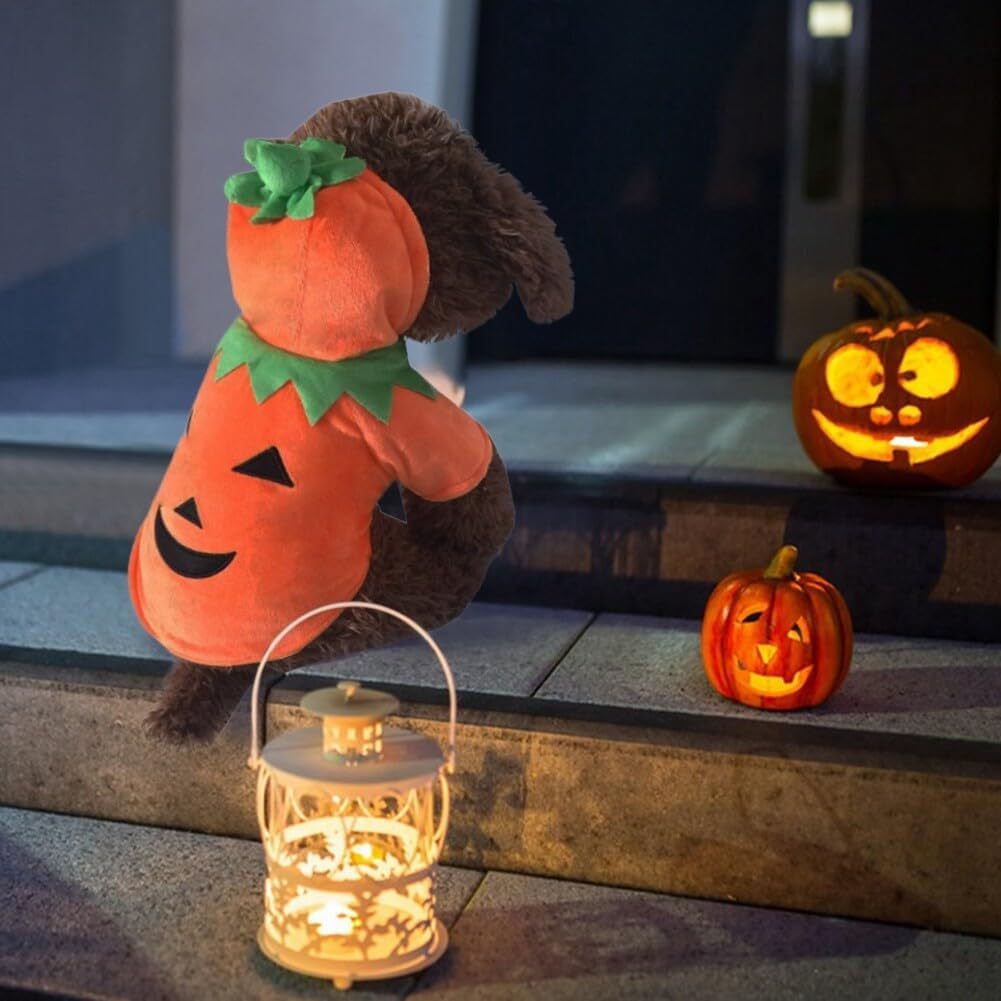 Dog Pumpkin Halloween Costume
